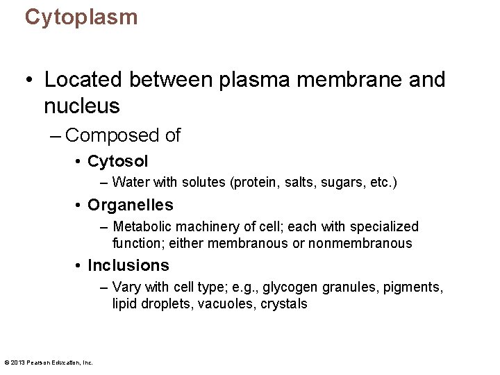 Cytoplasm • Located between plasma membrane and nucleus – Composed of • Cytosol –