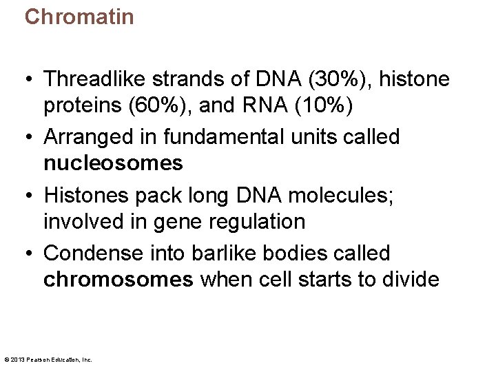 Chromatin • Threadlike strands of DNA (30%), histone proteins (60%), and RNA (10%) •