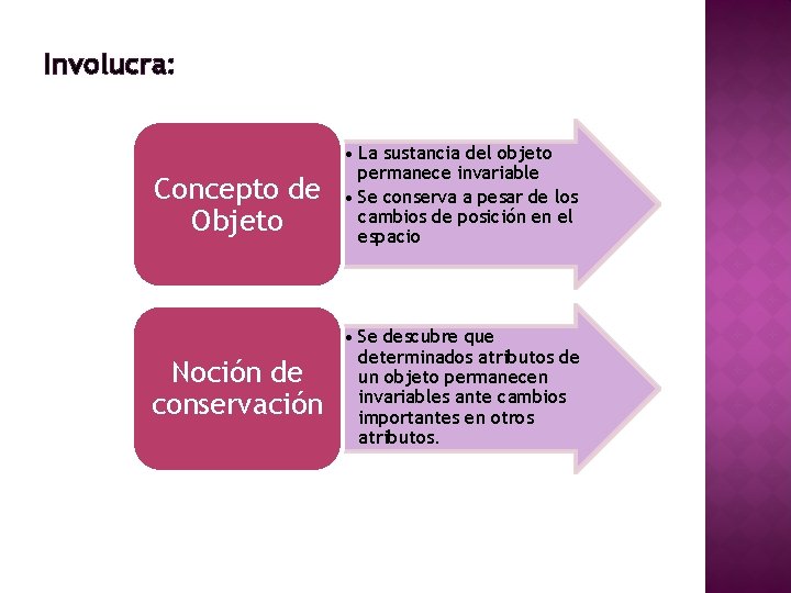 Involucra: Concepto de Objeto Noción de conservación • La sustancia del objeto permanece invariable