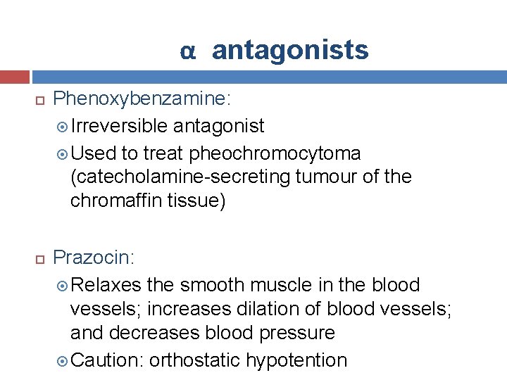 α antagonists Phenoxybenzamine: Irreversible antagonist Used to treat pheochromocytoma (catecholamine-secreting tumour of the chromaffin