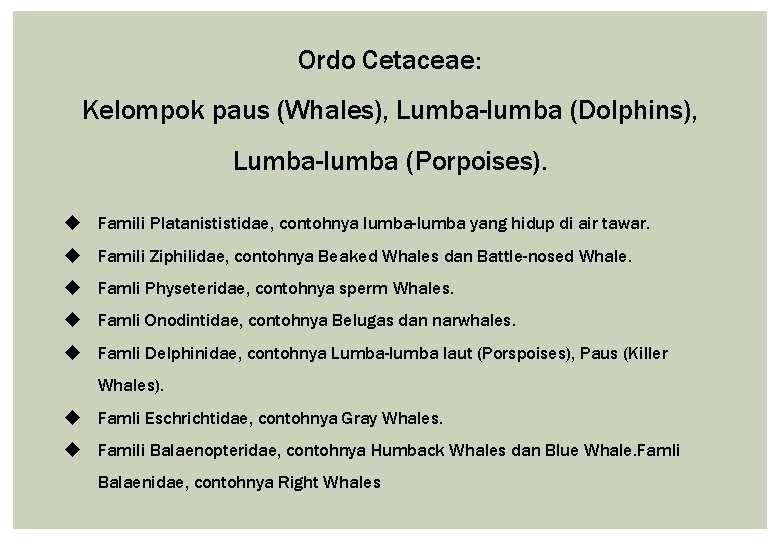 Ordo Cetaceae: Kelompok paus (Whales), Lumba-lumba (Dolphins), Lumba-lumba (Porpoises). u Famili Platanististidae, contohnya lumba-lumba