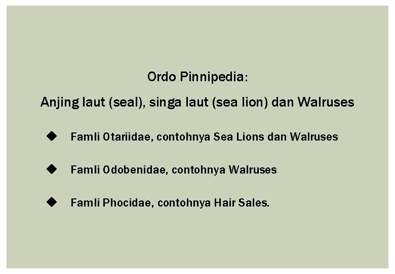 Ordo Pinnipedia: Anjing laut (seal), singa laut (sea lion) dan Walruses u Famli Otariidae,