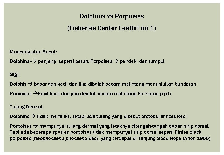 Dolphins vs Porpoises (Fisheries Center Leaflet no 1) Moncong atau Snout: Dolphins - panjang