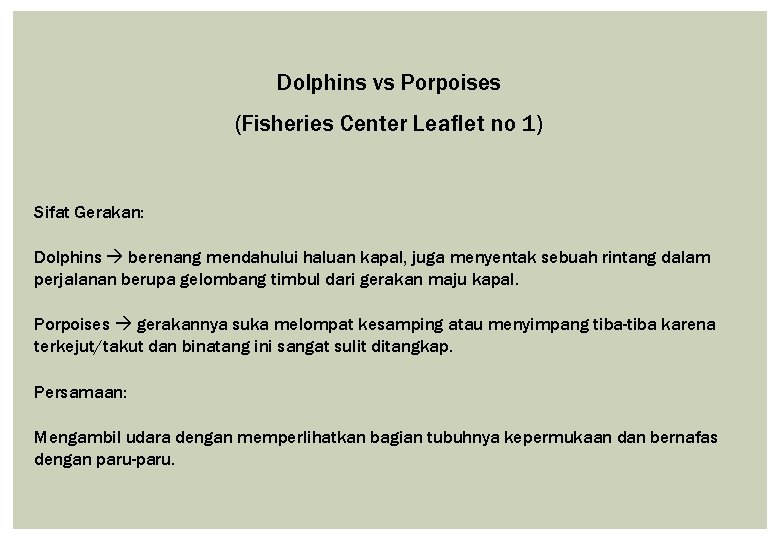 Dolphins vs Porpoises (Fisheries Center Leaflet no 1) Sifat Gerakan: Dolphins berenang mendahului haluan