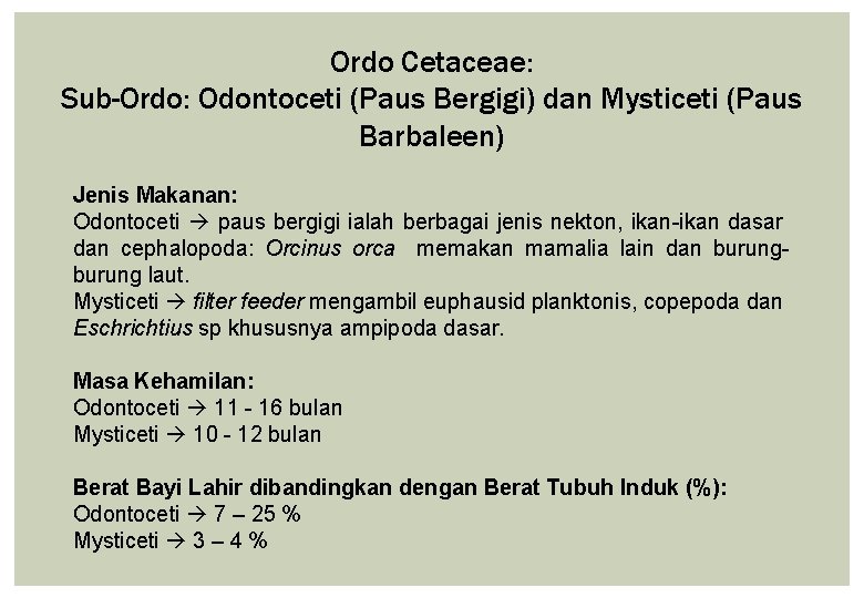 Ordo Cetaceae: Sub-Ordo: Odontoceti (Paus Bergigi) dan Mysticeti (Paus Barbaleen) Jenis Makanan: Odontoceti paus