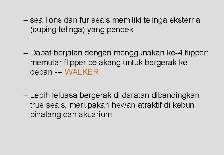 – sea lions dan fur seals memiliki telinga eksternal (cuping telinga) yang pendek –