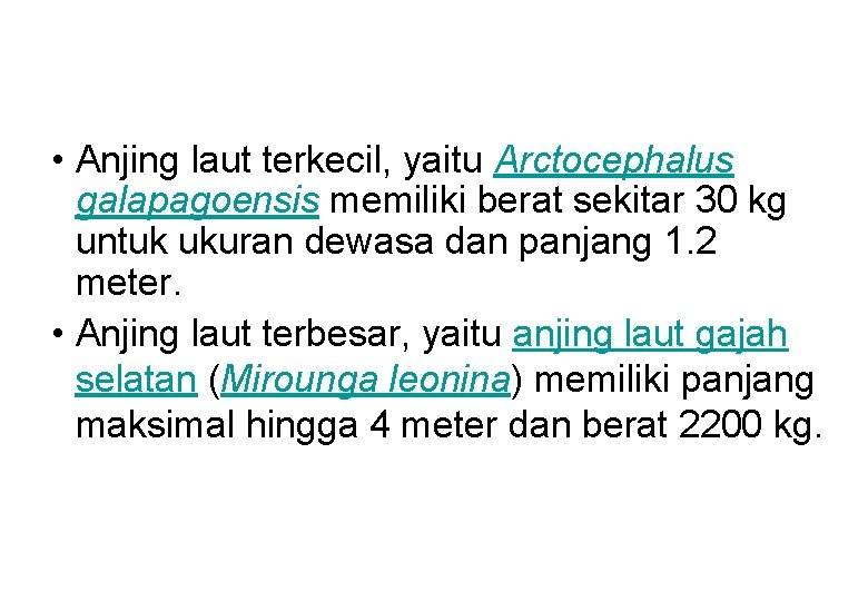  • Anjing laut terkecil, yaitu Arctocephalus galapagoensis memiliki berat sekitar 30 kg untuk