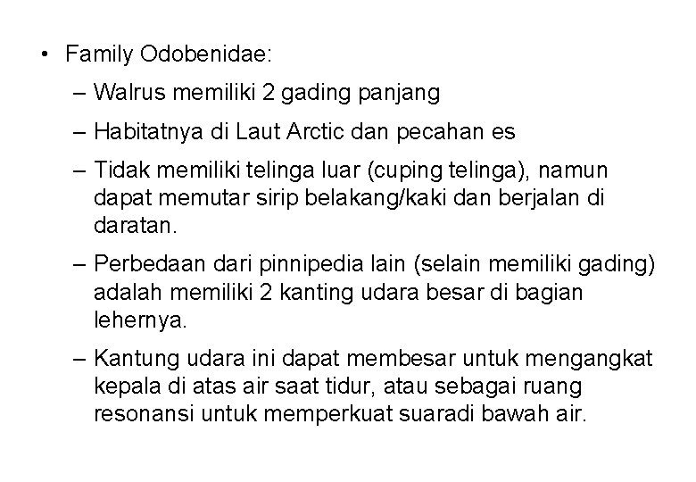  • Family Odobenidae: – Walrus memiliki 2 gading panjang – Habitatnya di Laut