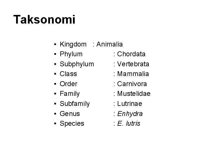 Taksonomi • • • Kingdom : Animalia Phylum : Chordata Subphylum : Vertebrata Class