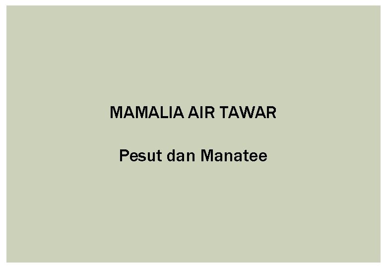 MAMALIA AIR TAWAR Pesut dan Manatee 