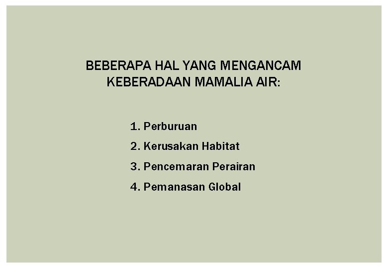 BEBERAPA HAL YANG MENGANCAM KEBERADAAN MAMALIA AIR: 1. Perburuan 2. Kerusakan Habitat 3. Pencemaran