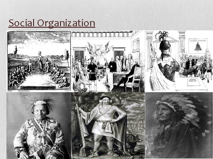 Social Organization 