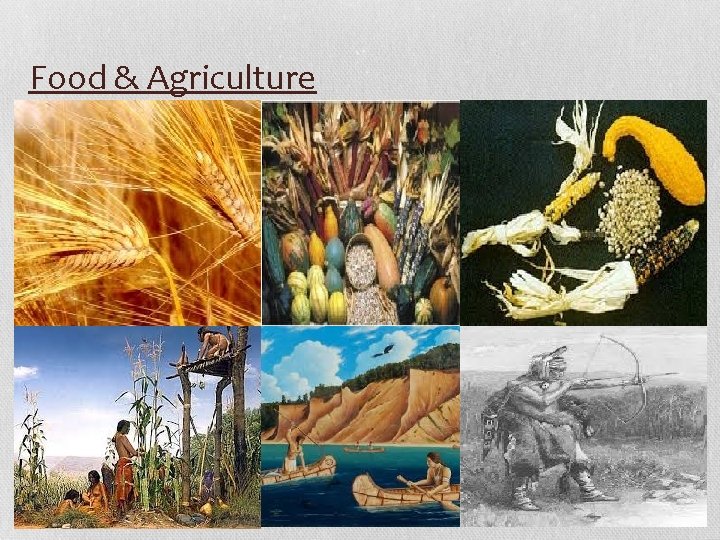 Food & Agriculture 