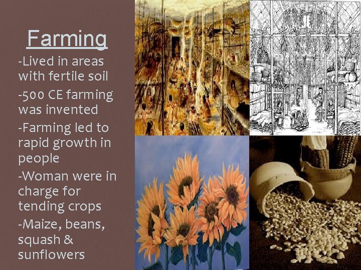 Farming -Lived in areas with fertile soil -500 CE farming was invented -Farming led