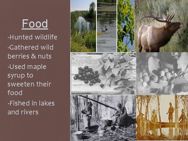 Food -Hunted wildlife -Gathered wild berries & nuts -Used maple syrup to sweeten their