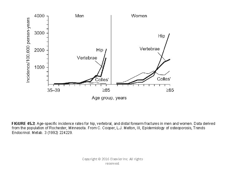 FIGURE 45. 2: Age-specific incidence rates for hip, vertebral, and distal forearm fractures in