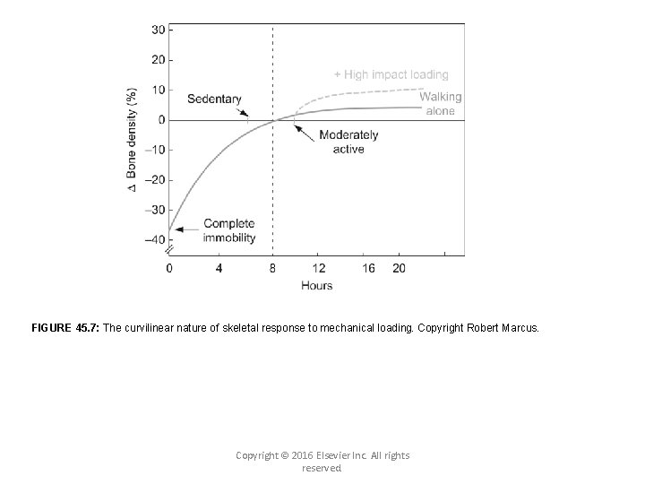 FIGURE 45. 7: The curvilinear nature of skeletal response to mechanical loading. Copyright Robert