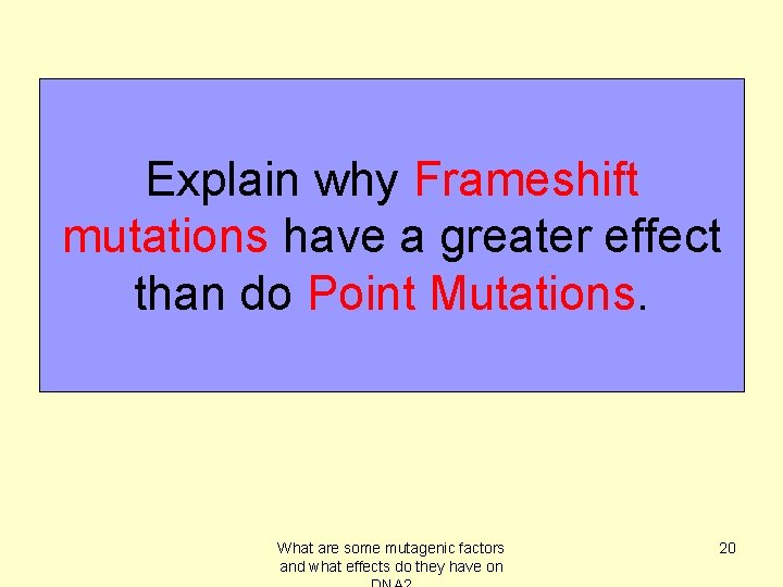 Explain why Frameshift mutations have a greater effect than do Point Mutations. What are