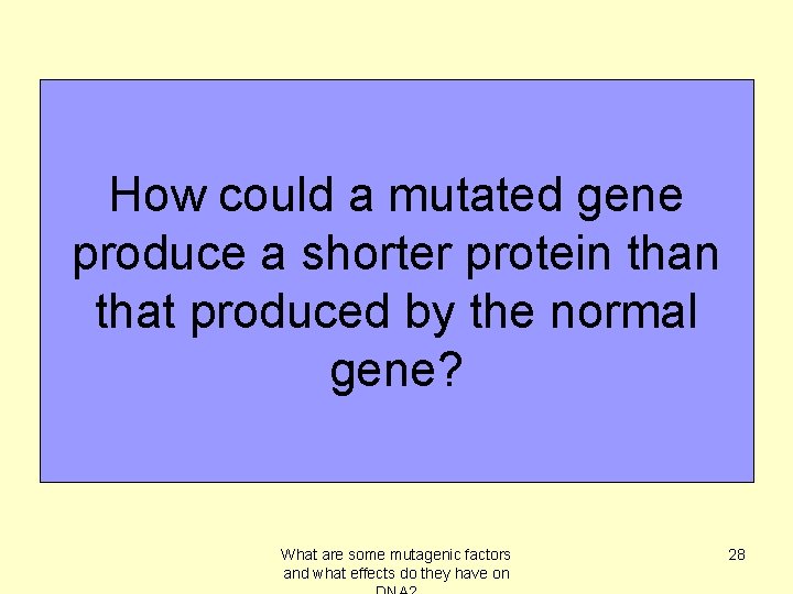 How could a mutated gene produce a shorter protein that produced by the normal