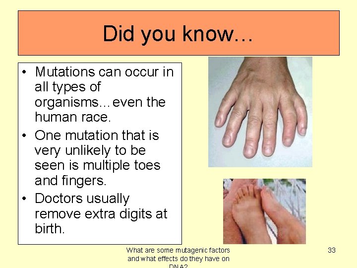 Did you know… • Mutations can occur in all types of organisms…even the human