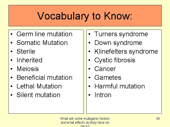 Vocabulary to Know: • • Germ line mutation Somatic Mutation Sterile Inherited Meiosis Beneficial