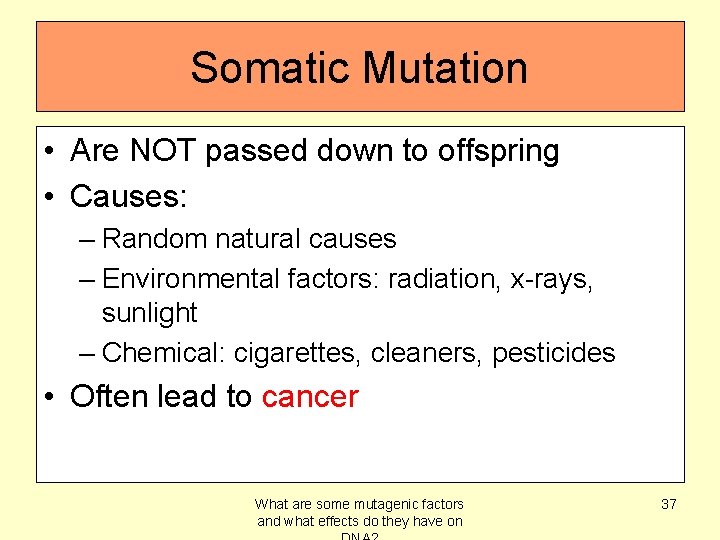 Somatic Mutation • Are NOT passed down to offspring • Causes: – Random natural