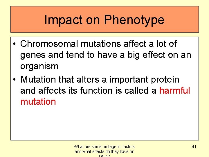 Impact on Phenotype • Chromosomal mutations affect a lot of genes and tend to