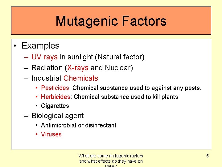 Mutagenic Factors • Examples – UV rays in sunlight (Natural factor) – Radiation (X-rays