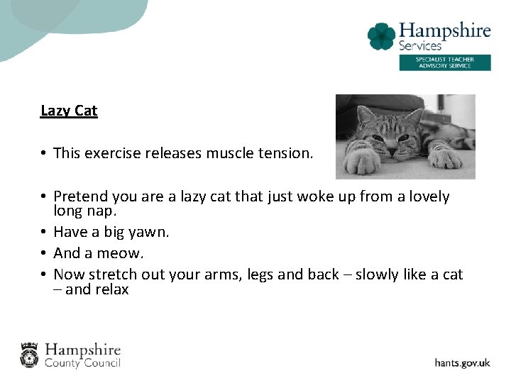 Lazy Cat • This exercise releases muscle tension. • Pretend you are a lazy