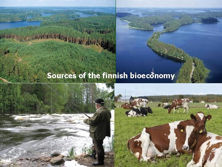 Sources of the finnish bioeconomy Kuvat: MMM/Mavi 3 