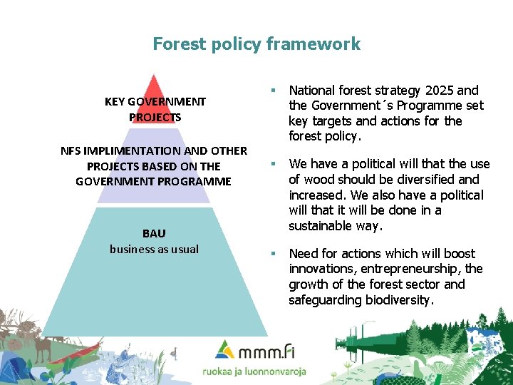 Forest policy framework KEY GOVERNMENT PROJECTS NFS IMPLIMENTATION AND OTHER PROJECTS BASED ON THE