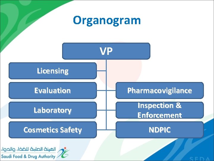 Organogram VP Licensing Evaluation Pharmacovigilance Laboratory Inspection & Enforcement Cosmetics Safety NDPIC 