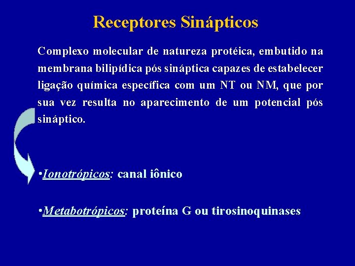 Receptores Sinápticos Complexo molecular de natureza protéica, embutido na membrana bilipídica pós sináptica capazes