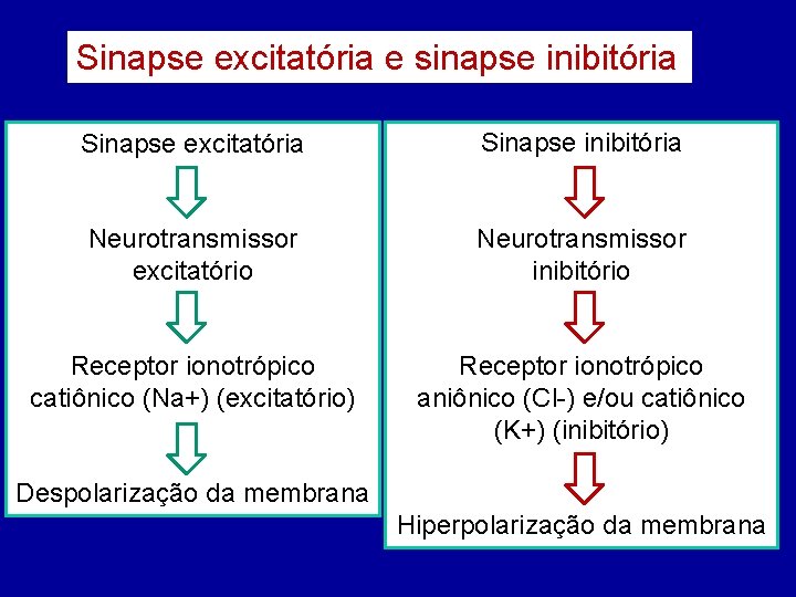 Sinapse excitatória e sinapse inibitória Sinapse excitatória Sinapse inibitória Neurotransmissor excitatório Neurotransmissor inibitório Receptor