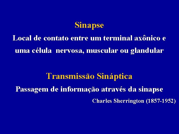 Sinapse Local de contato entre um terminal axônico e uma célula nervosa, muscular ou