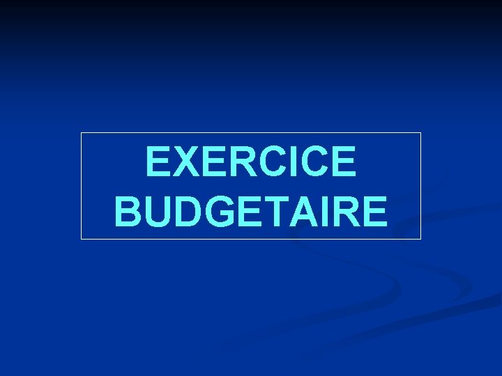 EXERCICE BUDGETAIRE 