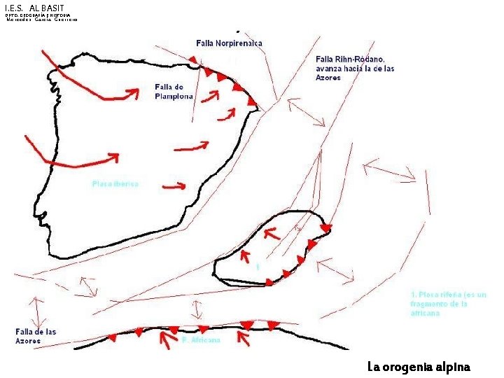I. E. S. AL BASIT DPTO. GEOGRAFÍA E HISTORIA Mercedes García Guerrero La orogenia