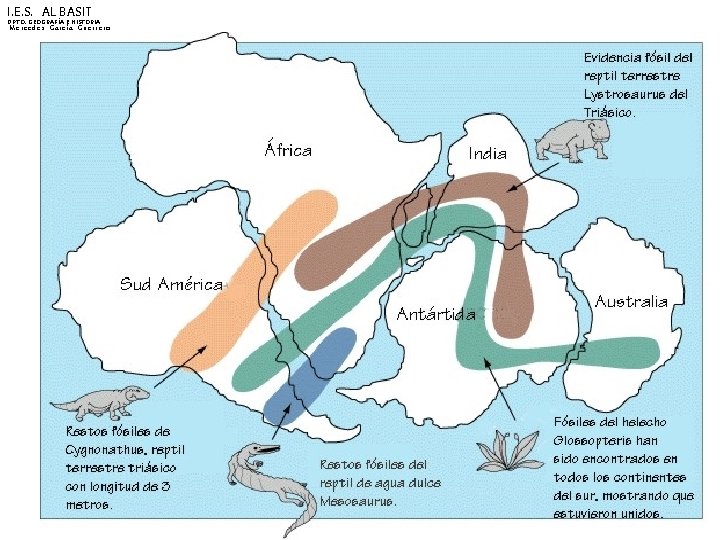 I. E. S. AL BASIT DPTO. GEOGRAFÍA E HISTORIA Mercedes García Guerrero 