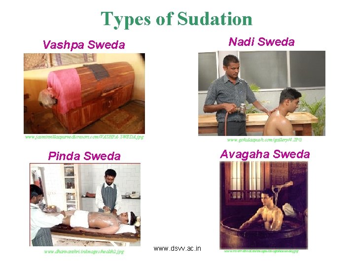 Types of Sudation Nadi Sweda Vashpa Sweda www. jasminvillaayurvedicresort. com/VASHPA-SWEDA. jpg www. gokulaayush. com/gallery/4.