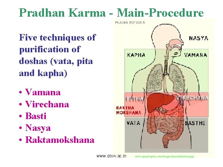 Pradhan Karma - Main-Procedure Five techniques of purification of doshas (vata, pita and kapha)