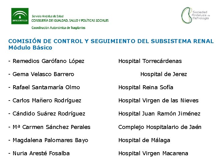 COMISIÓN DE CONTROL Y SEGUIMIENTO DEL SUBSISTEMA RENAL Módulo Básico - Remedios Garófano López