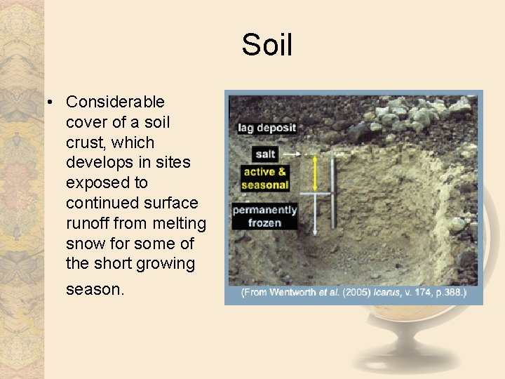 Soil • Considerable cover of a soil crust, which develops in sites exposed to