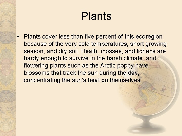 Plants • Plants cover less than five percent of this ecoregion because of the