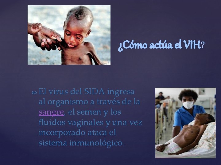 ¿Cómo actúa el VIH? El virus del SIDA ingresa al organismo a través de