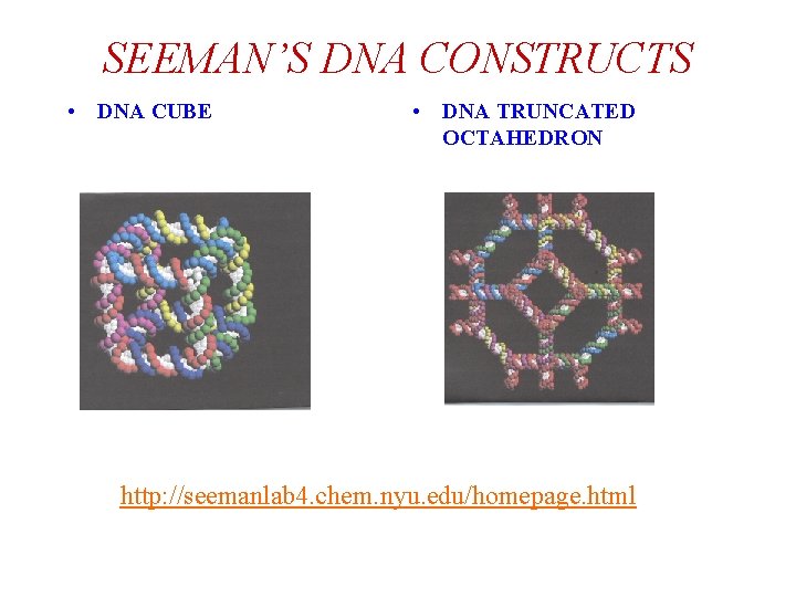 SEEMAN’S DNA CONSTRUCTS • DNA CUBE • DNA TRUNCATED OCTAHEDRON http: //seemanlab 4. chem.