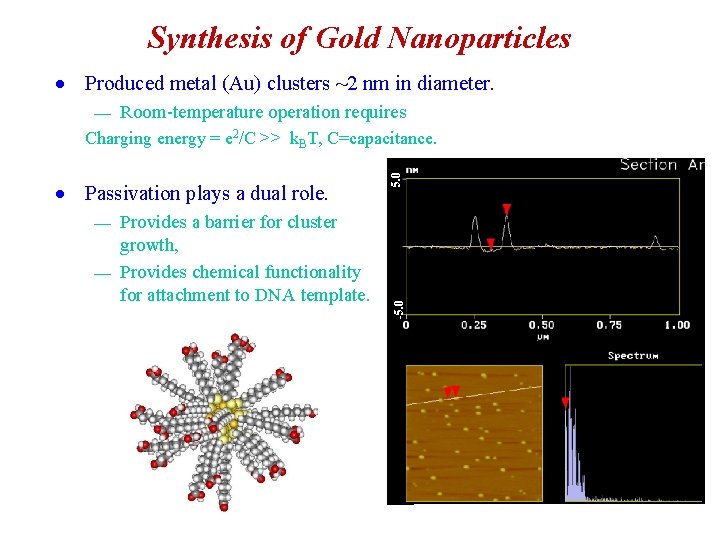 Synthesis of Gold Nanoparticles · Produced metal (Au) clusters ~2 nm in diameter. ¾