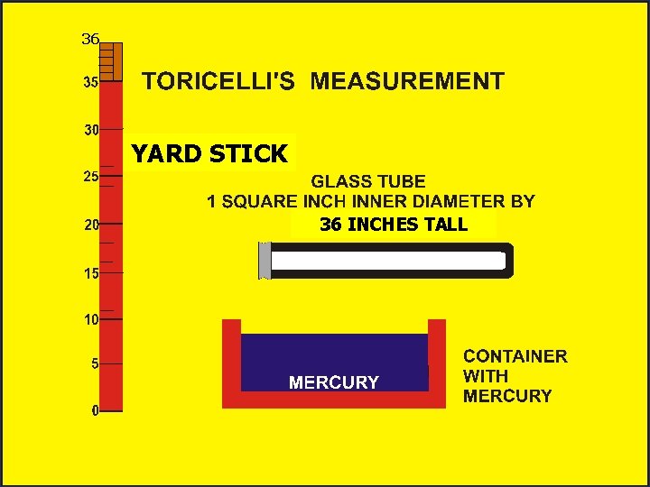 36 YARD STICK 36 INCHES TALL 36 YARD STICK 36 INCHES TALL