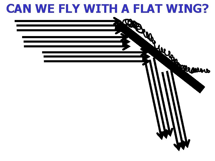 CAN WE FLY WITH A FLAT WING? 