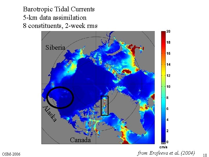 Barotropic Tidal Currents 5 -km data assimilation 8 constituents, 2 -week rms Siberia ka