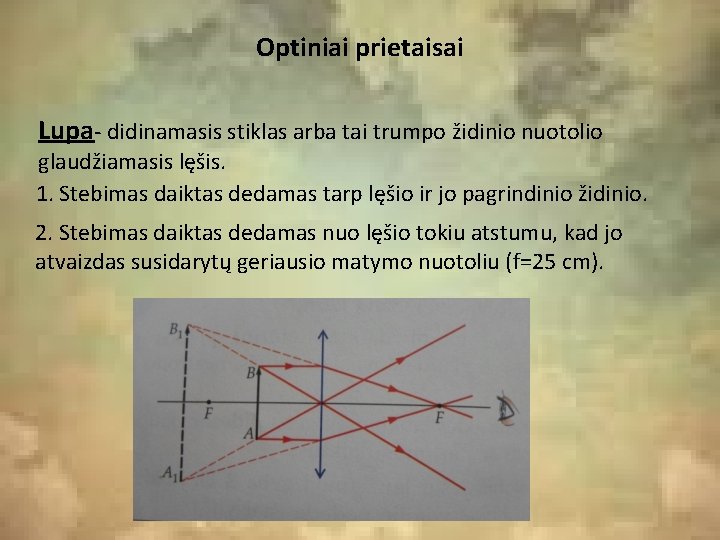 Optiniai prietaisai Lupa- didinamasis stiklas arba tai trumpo židinio nuotolio glaudžiamasis lęšis. 1. Stebimas Optiniai prietaisai Lupa- didinamasis stiklas arba tai trumpo židinio nuotolio glaudžiamasis lęšis. 1. Stebimas